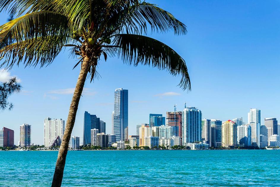 Modern Studio In Miami Beach Eksteriør bilde